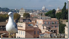 DSC_2014-11-08_11-15-45