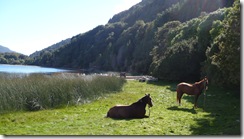 Los caballitos al sol