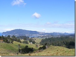 Camino de Hot Water Beach